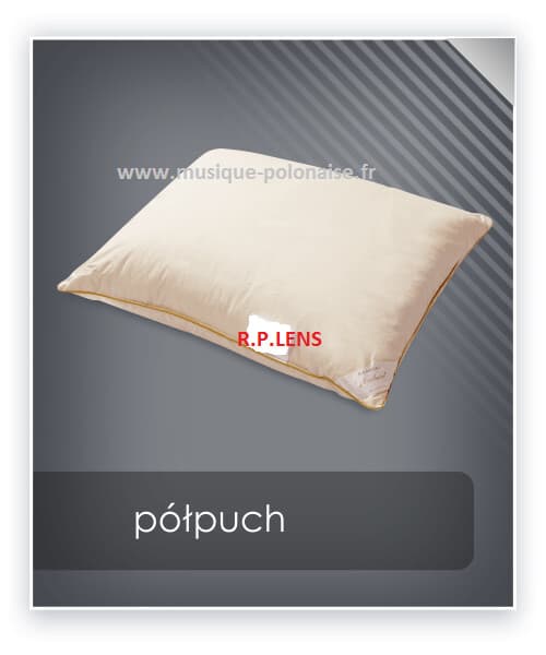OREILLER 50x70 en Duvet OIE
