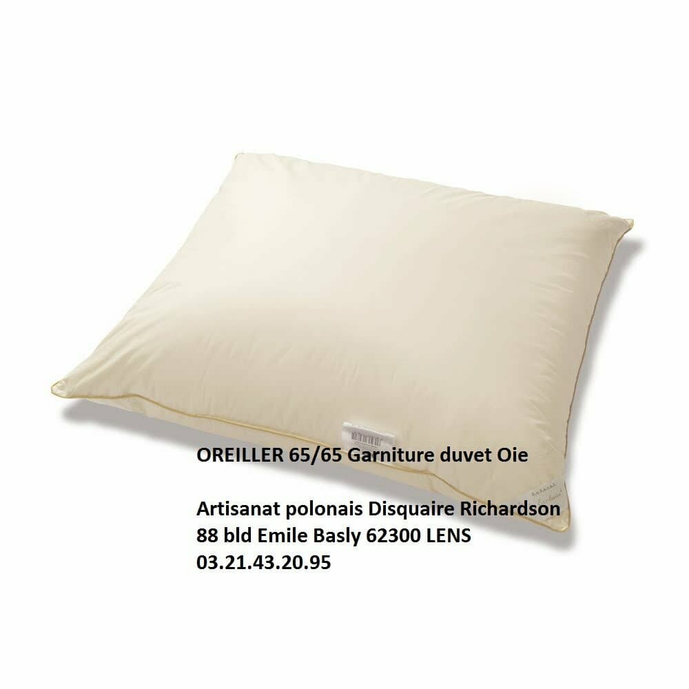 OREILLER 60X60 en plume et duvet d'oie 900gr