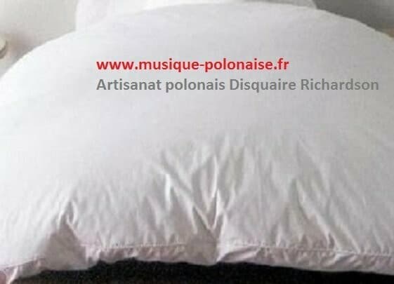 EDREDON en DUVET OIE 260x220 Pierzyna polonaise 5500 gr.