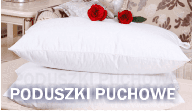 OREILLER duvet d'oie 70x80cm Poduszka