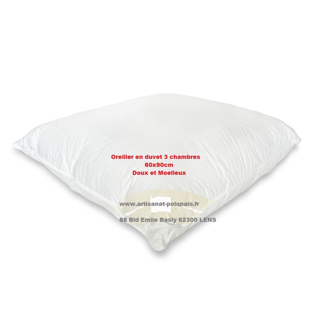 Oreiller en duvet 60x90